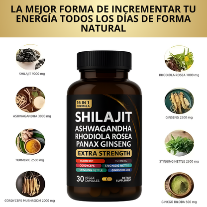 YAYNOOK® | Shilajit Potenciador